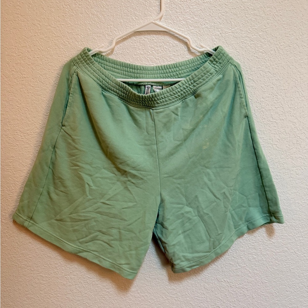 Divided Mint Green Athletic Shorts